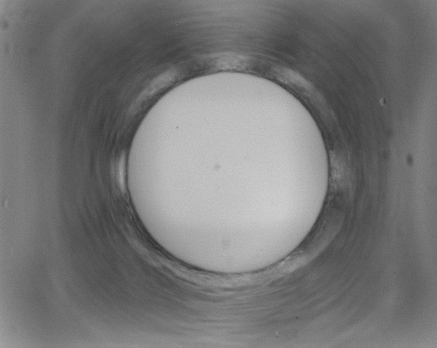 X0000068770028200604281029