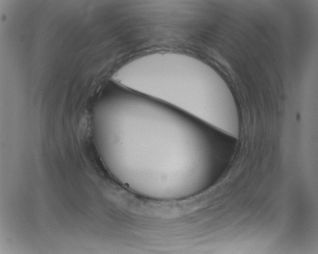 X0000068770029200604281029