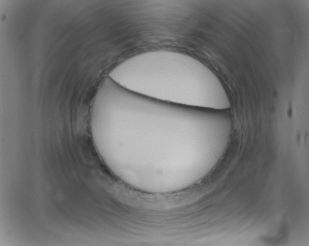 X0000068770030200604281029