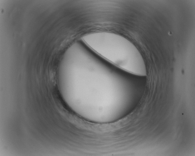 X0000068770031200604281029