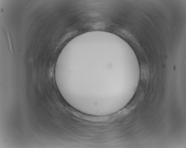 X0000068770032200604281029