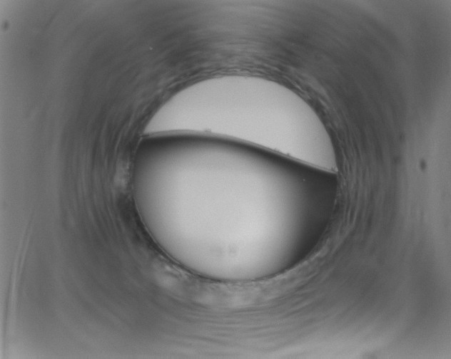 X0000068770033200604281029