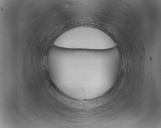 X0000068770034200604281029