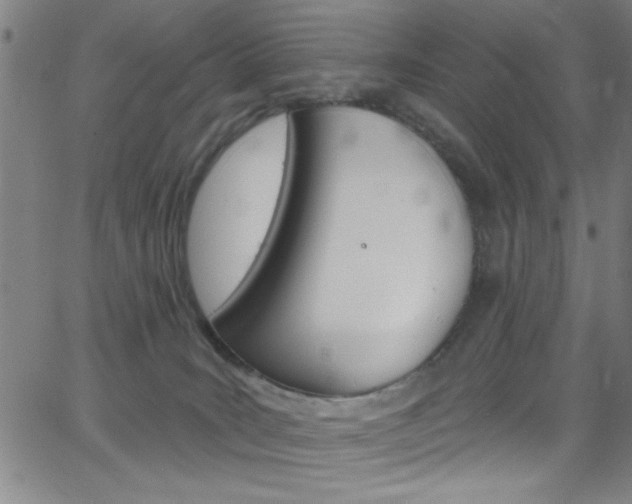 X0000068770035200604281029