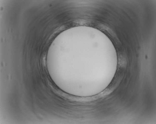 X0000068770036200604281029