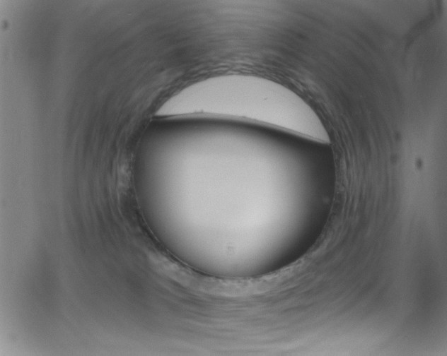 X0000068770037200604281029