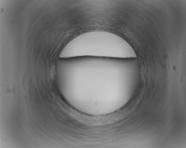 X0000068770038200604281029