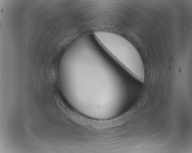 X0000068770039200604281029