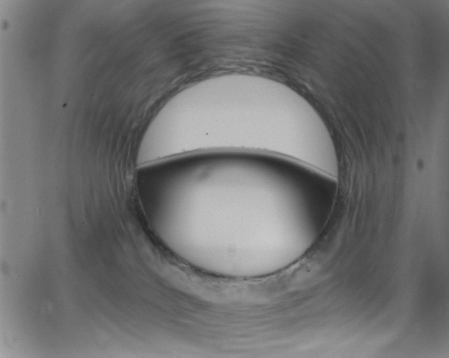 X0000068770040200604281029