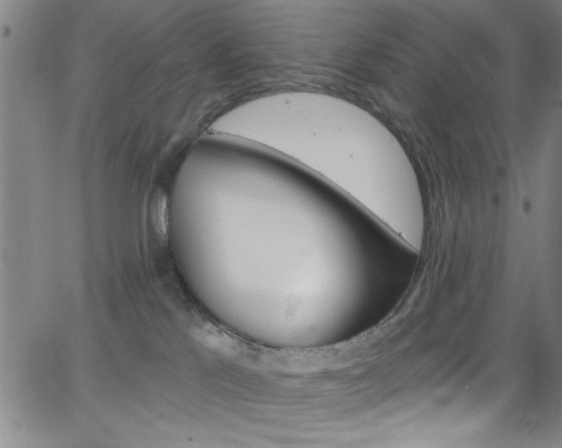 X0000068770041200604281029