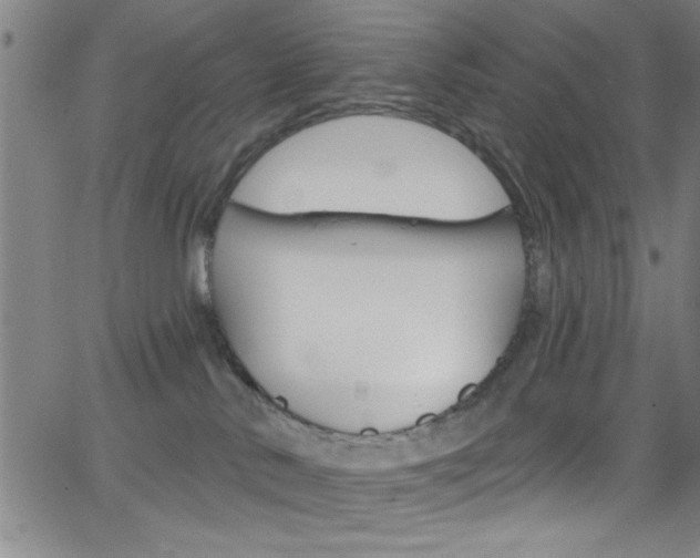 X0000068770042200604281029