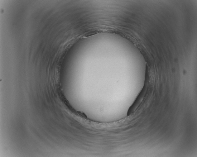 X0000068770043200604281029