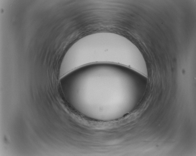 X0000068770044200604281029