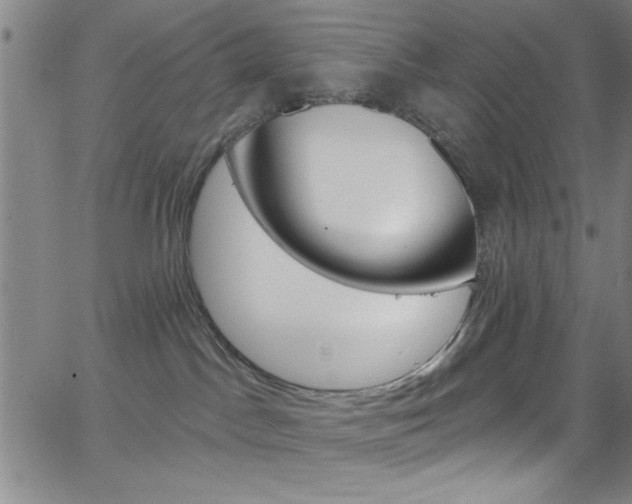 X0000068770045200604281029