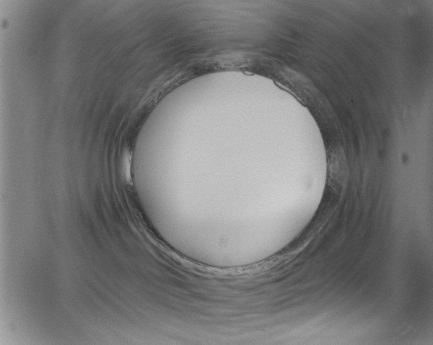 X0000068770046200604281029