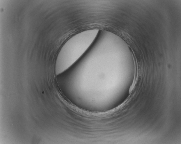 X0000068770047200604281029