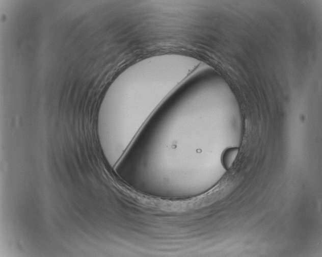 X0000068770048200604281029