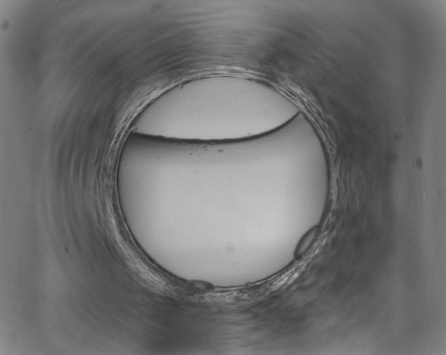 X0000068770049200604281028