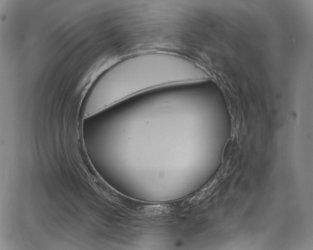 X0000068770050200604281028