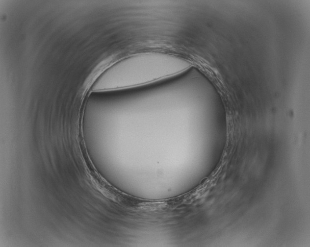 X0000068770051200604281028