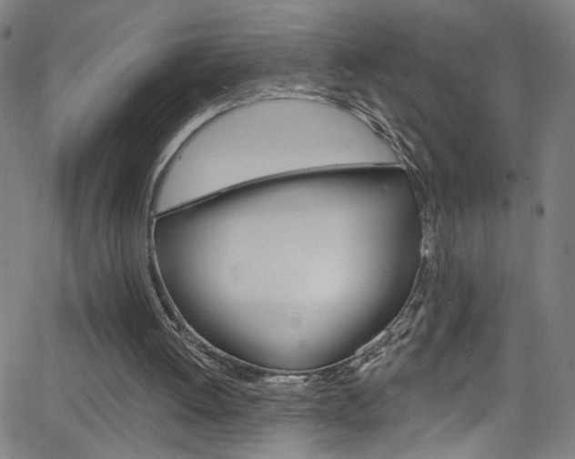 X0000068770052200604281028