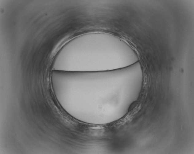 X0000068770053200604281028