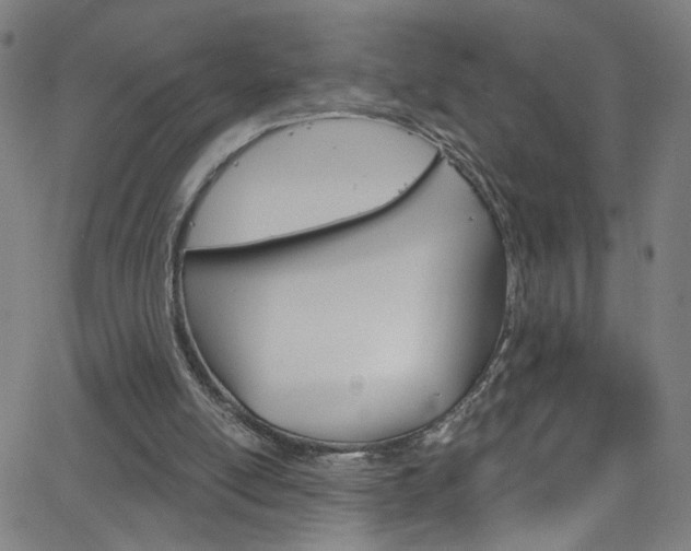 X0000068770054200604281028