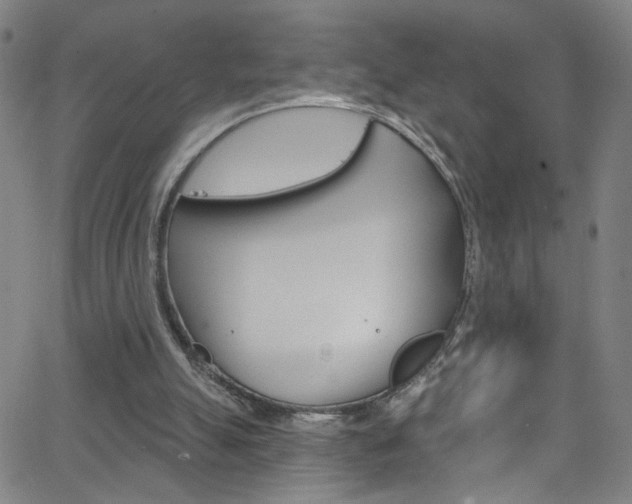 X0000068770055200604281028