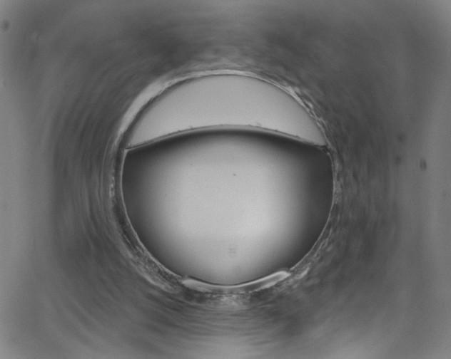 X0000068770056200604281028