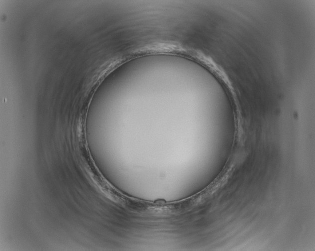 X0000068770057200604281028