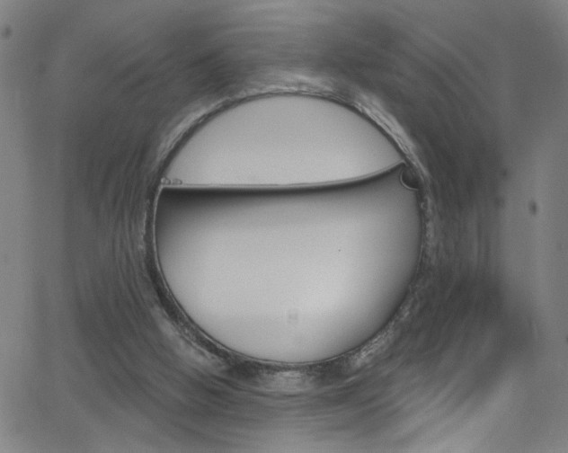 X0000068770058200604281028