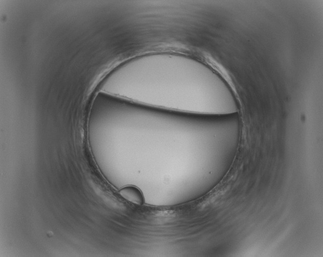 X0000068770059200604281028