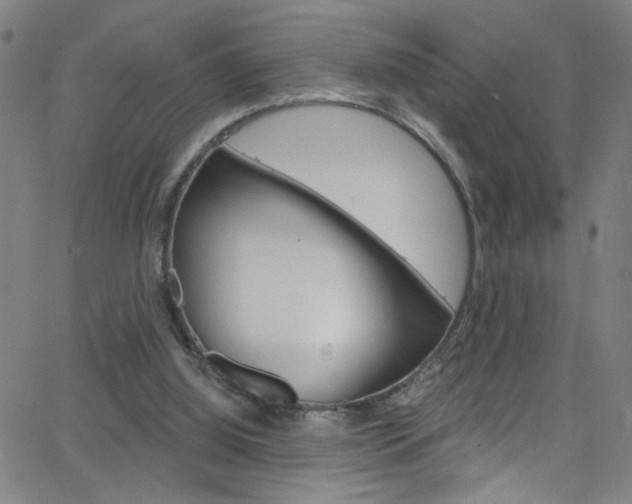 X0000068770060200604281028