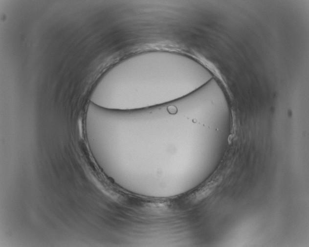 X0000068770061200604281028