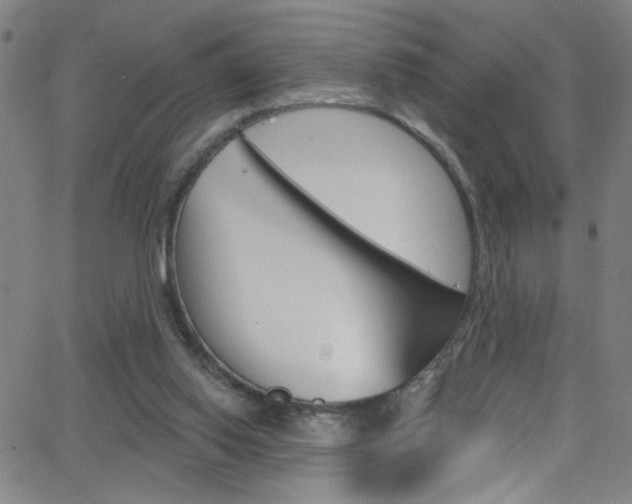 X0000068770062200604281028