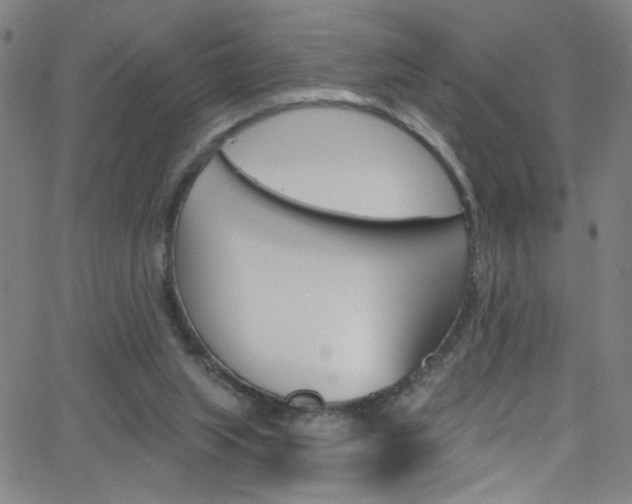 X0000068770063200604281028