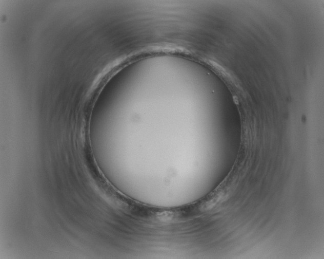 X0000068770064200604281028