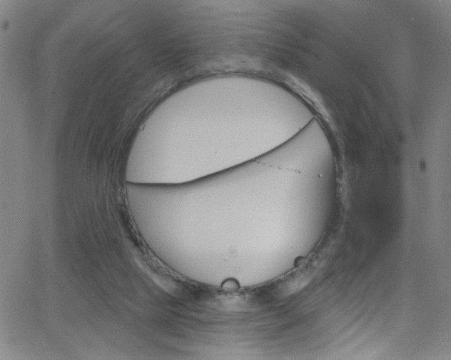 X0000068770065200604281028