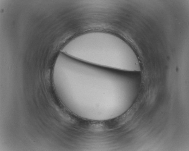 X0000068770066200604281028