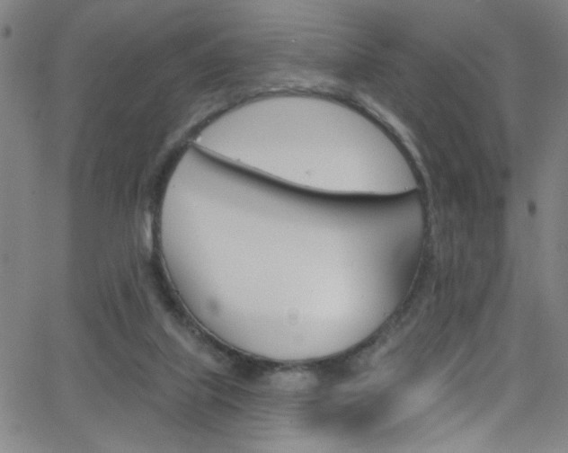 X0000068770067200604281028