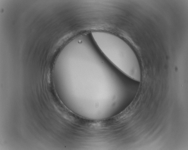 X0000068770068200604281028