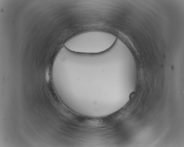 X0000068770069200604281028