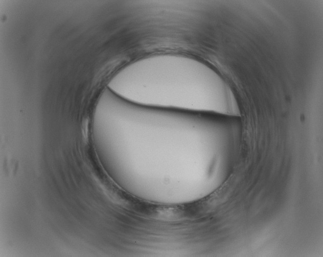 X0000068770070200604281028