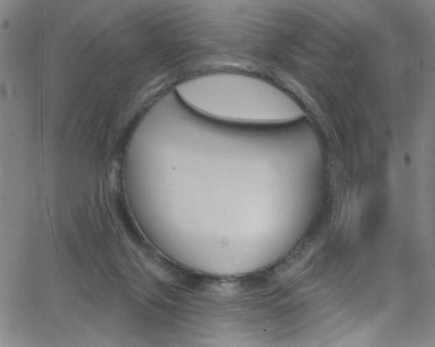 X0000068770071200604281028