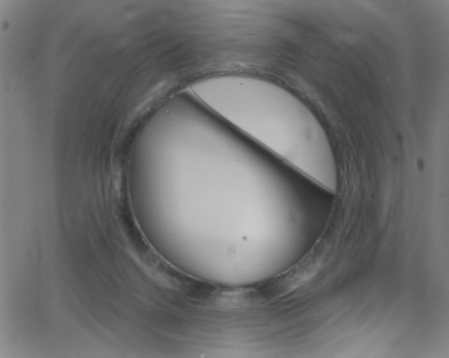 X0000068770072200604281028