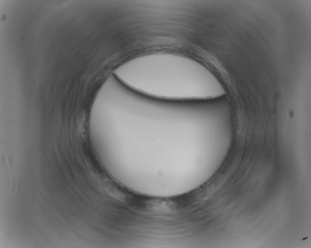 X0000068770073200604281028