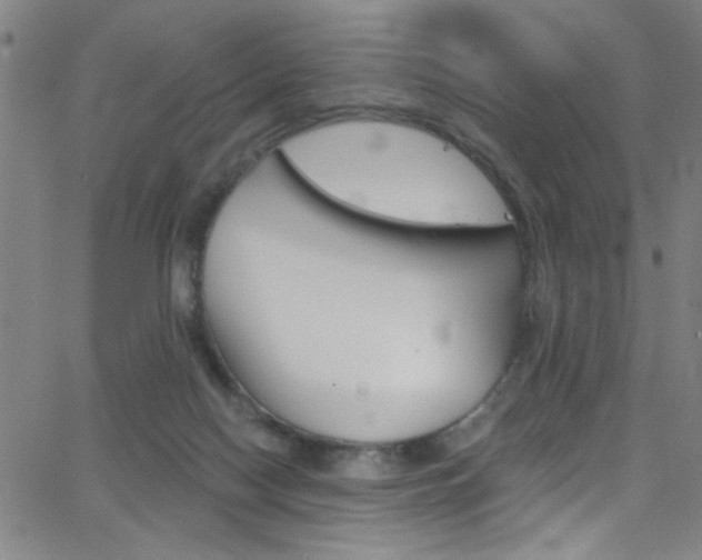 X0000068770074200604281028