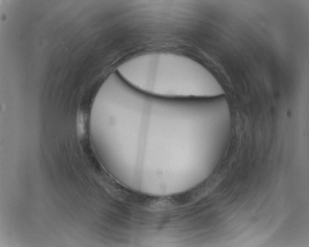 X0000068770075200604281028