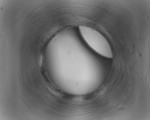 X0000068770076200604281028