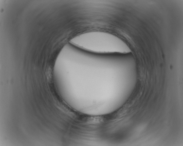 X0000068770077200604281028